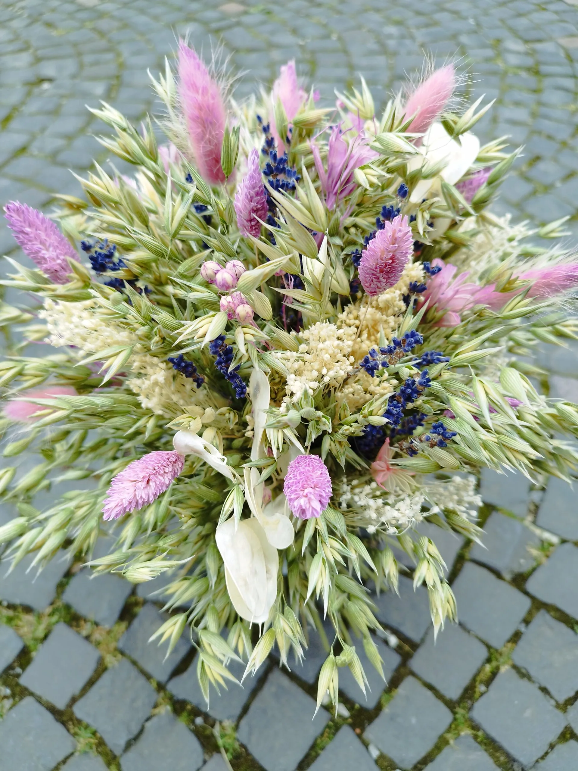 Jaroslava